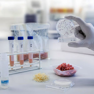 Food testing